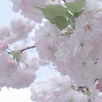 Furry数位绘画实用技巧福瑞交流群